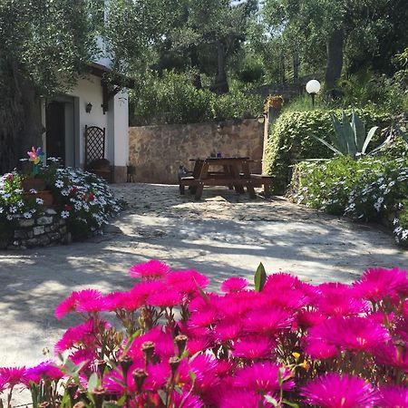 Azienda Agricola B&B Macchiaria Vieste Exteriér fotografie