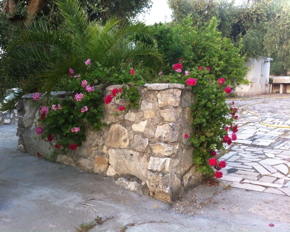 Azienda Agricola B&B Macchiaria Vieste Exteriér fotografie