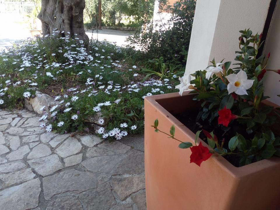 Azienda Agricola B&B Macchiaria Vieste Exteriér fotografie